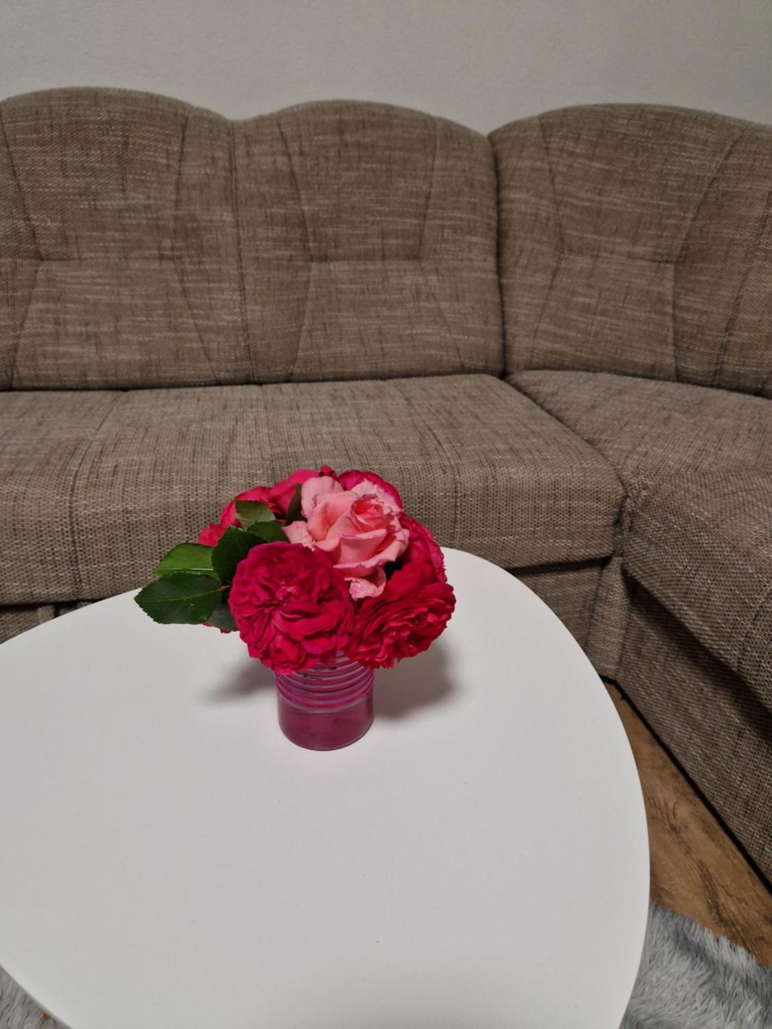 Apartma-Sobe Lejla Vipava Luaran gambar